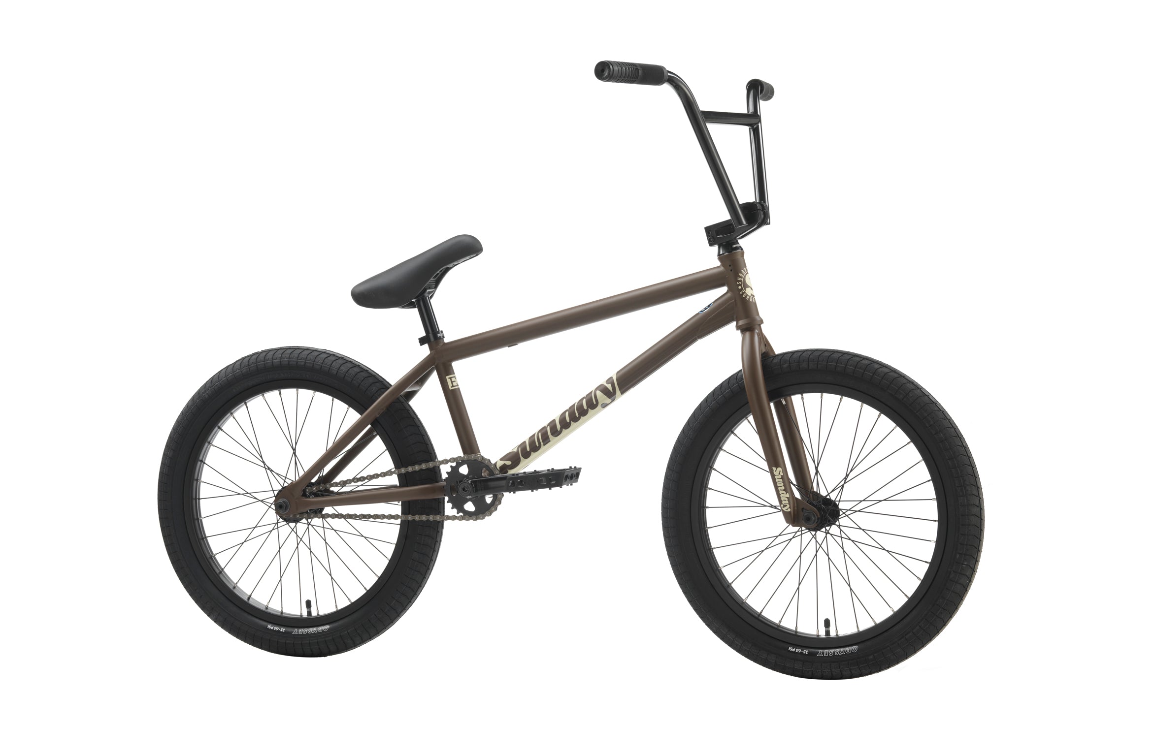 2025ExArteagaDarkBrown_8af24b2