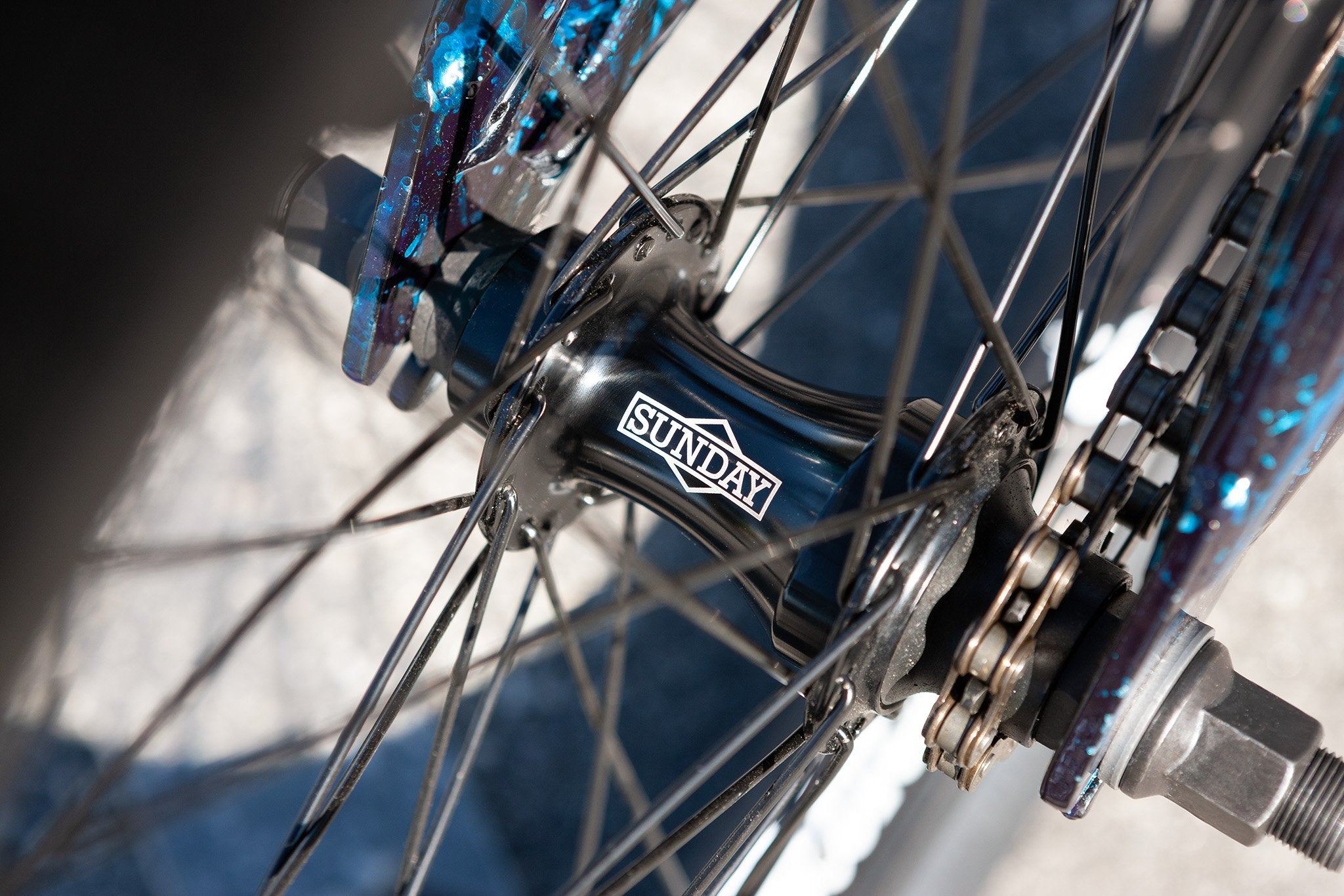 Sunday Forecaster Park - Maca Perez Grasset Signature (Gloss Cyan Rain ...